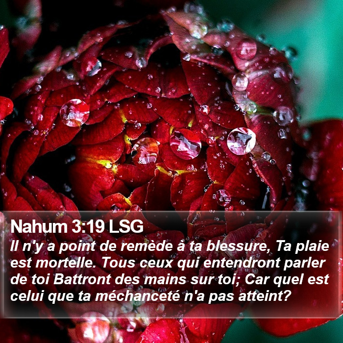 Nahum 3:19 LSG Bible Study