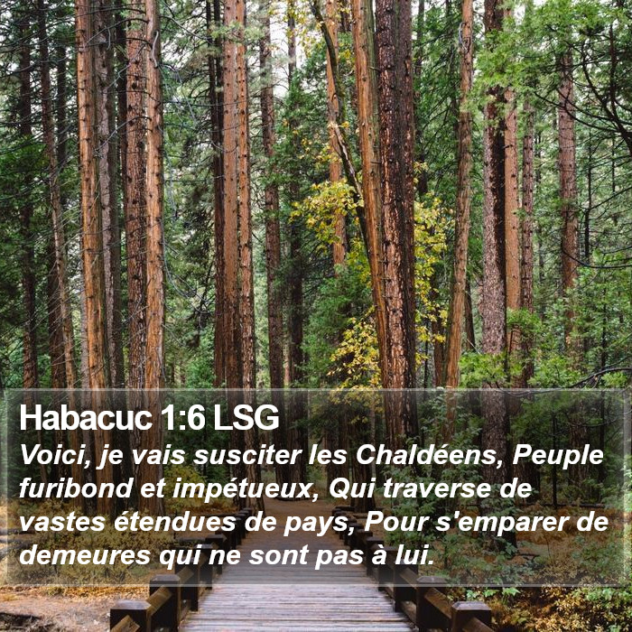 Habacuc 1:6 LSG Bible Study