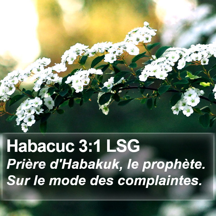 Habacuc 3:1 LSG Bible Study