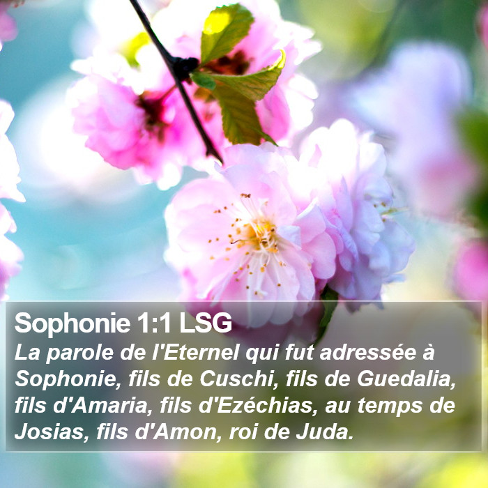 Sophonie 1:1 LSG Bible Study