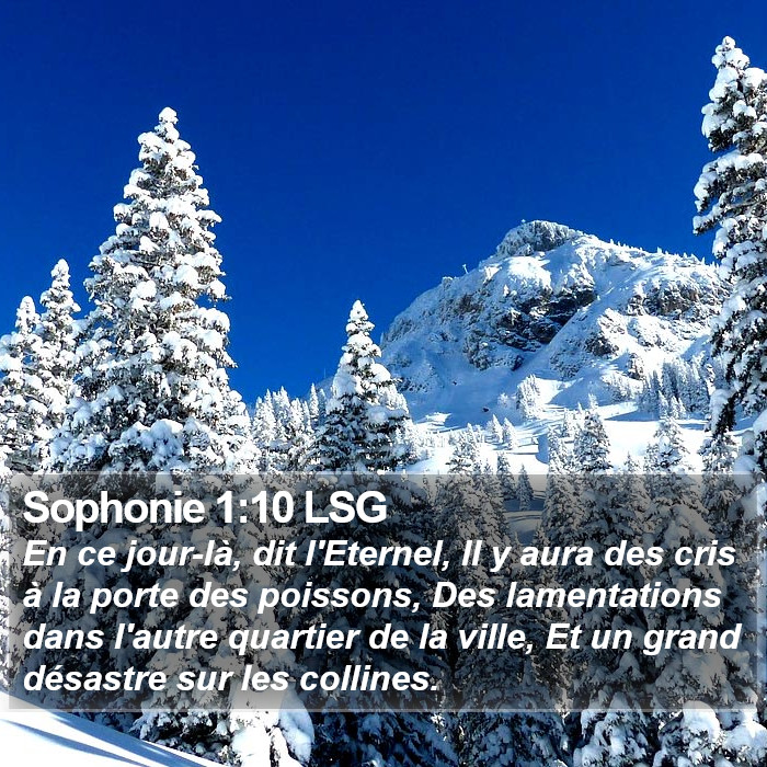 Sophonie 1:10 LSG Bible Study