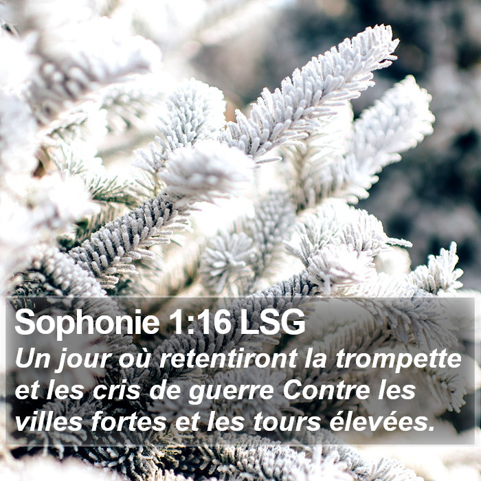 Sophonie 1:16 LSG Bible Study