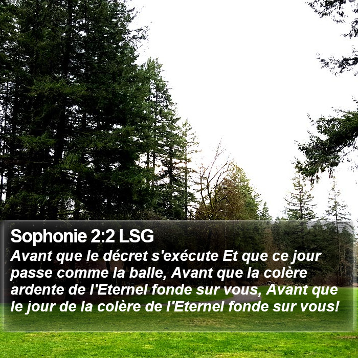 Sophonie 2:2 LSG Bible Study