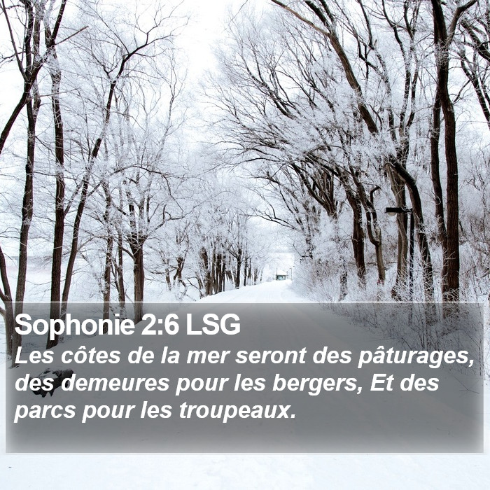 Sophonie 2:6 LSG Bible Study