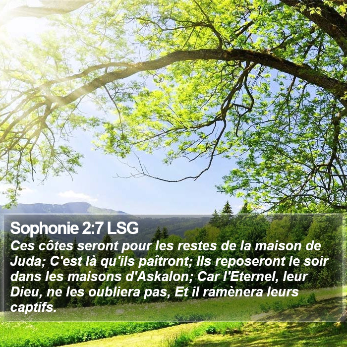 Sophonie 2:7 LSG Bible Study
