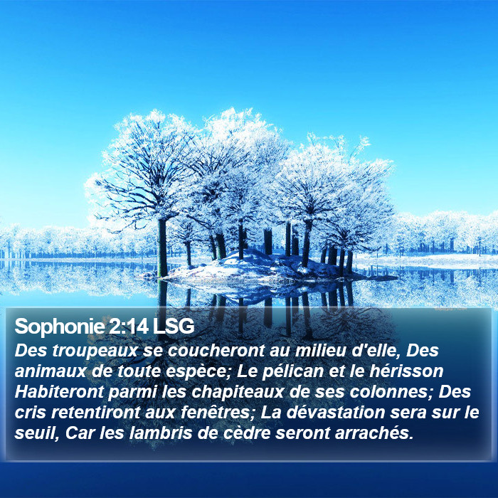 Sophonie 2:14 LSG Bible Study
