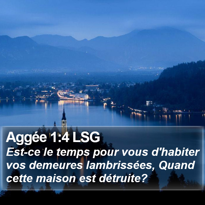 Aggée 1:4 LSG Bible Study