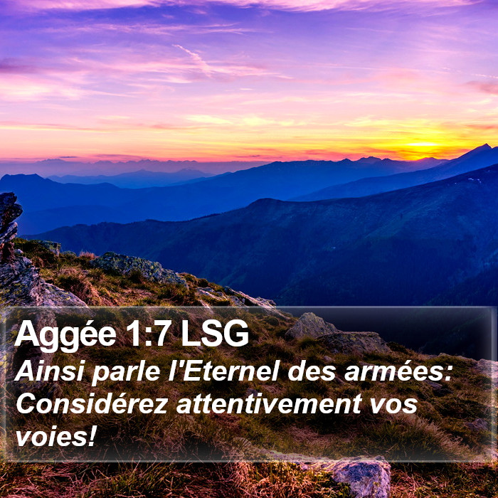 Aggée 1:7 LSG Bible Study