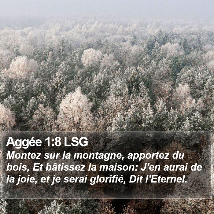 Aggée 1:8 LSG Bible Study