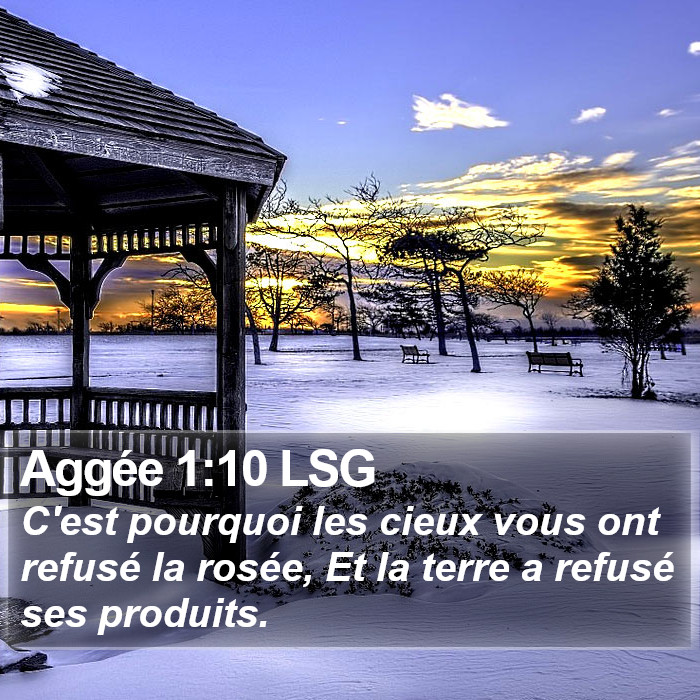 Aggée 1:10 LSG Bible Study