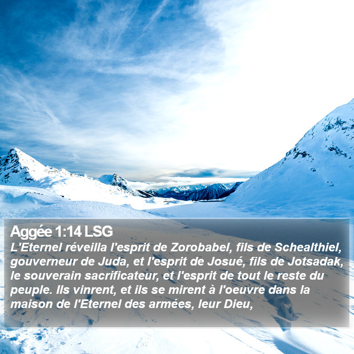 Aggée 1:14 LSG Bible Study