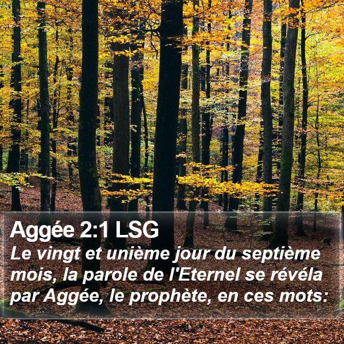 Aggée 2:1 LSG Bible Study