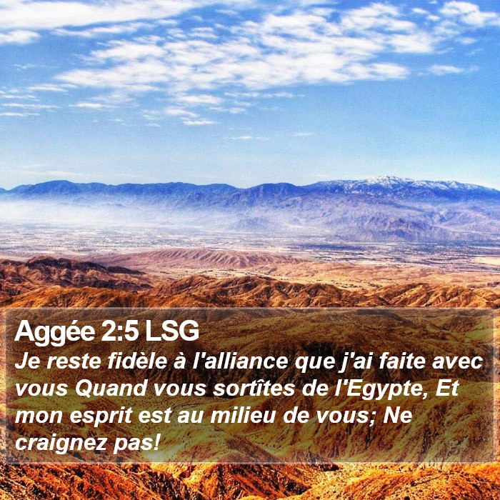 Aggée 2:5 LSG Bible Study