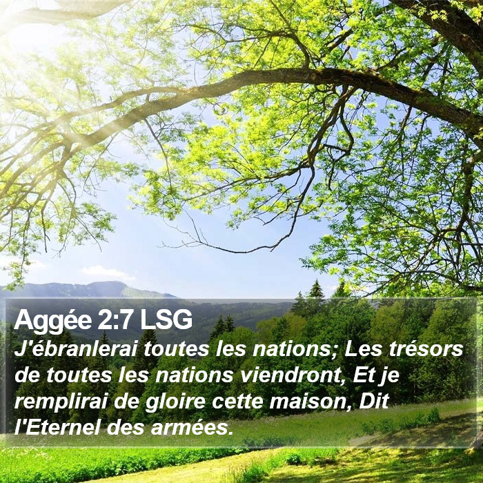 Aggée 2:7 LSG Bible Study