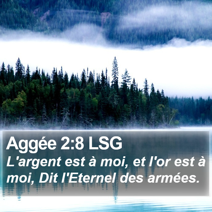 Aggée 2:8 LSG Bible Study