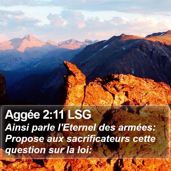 Aggée 2:11 LSG Bible Study