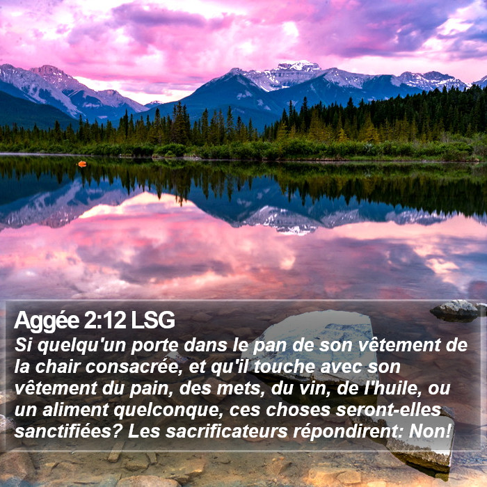 Aggée 2:12 LSG Bible Study