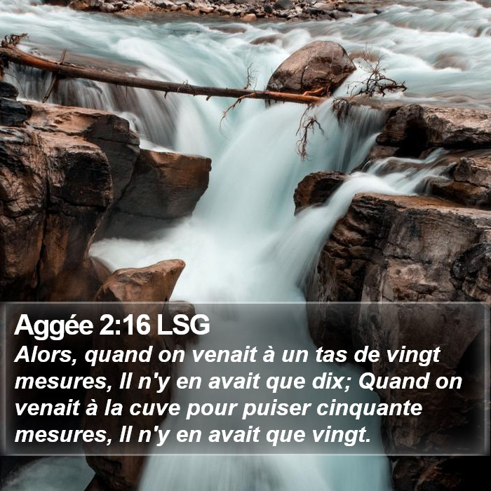 Aggée 2:16 LSG Bible Study