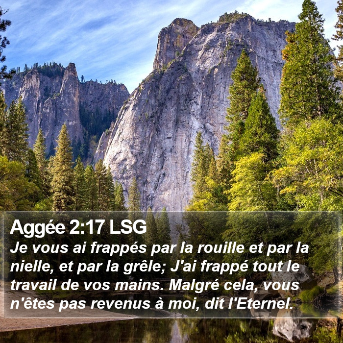 Aggée 2:17 LSG Bible Study