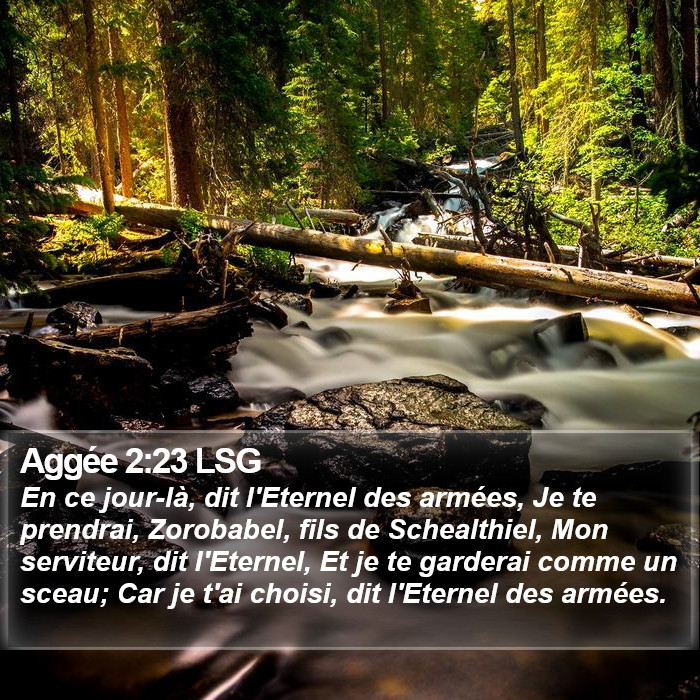 Aggée 2:23 LSG Bible Study