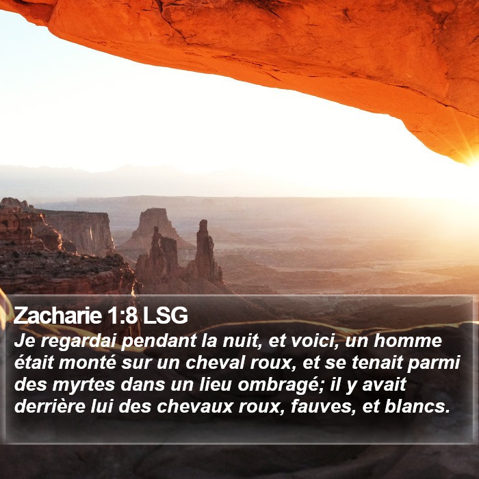 Zacharie 1:8 LSG Bible Study