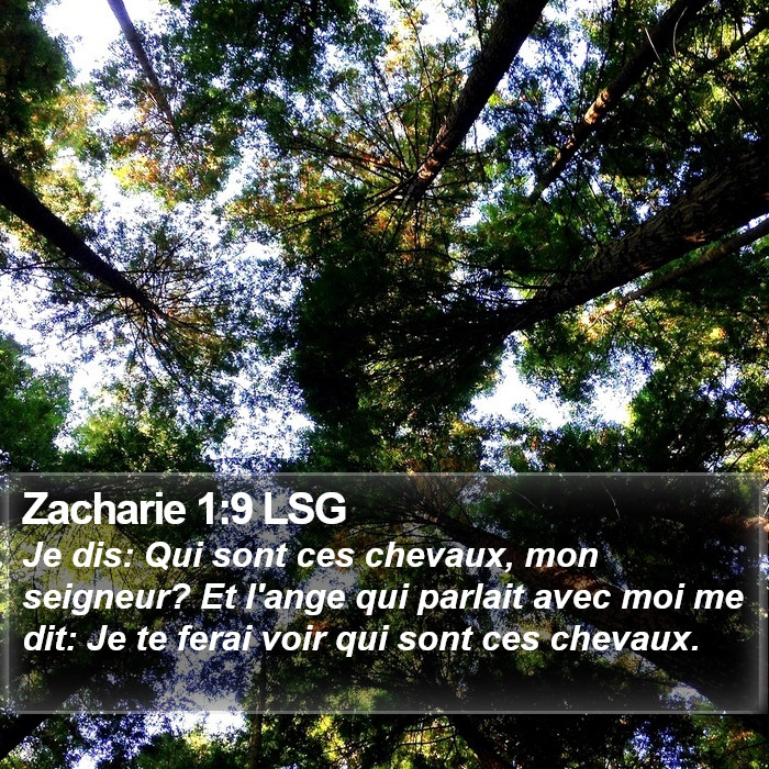 Zacharie 1:9 LSG Bible Study