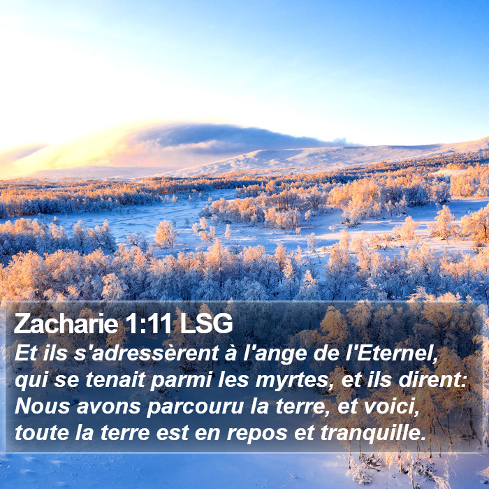 Zacharie 1:11 LSG Bible Study