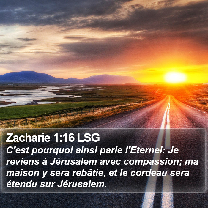 Zacharie 1:16 LSG Bible Study