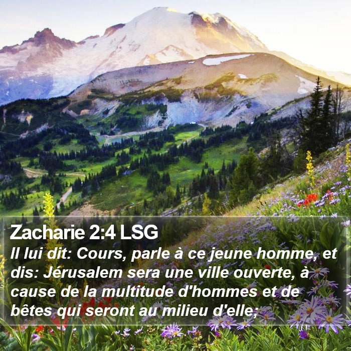 Zacharie 2:4 LSG Bible Study