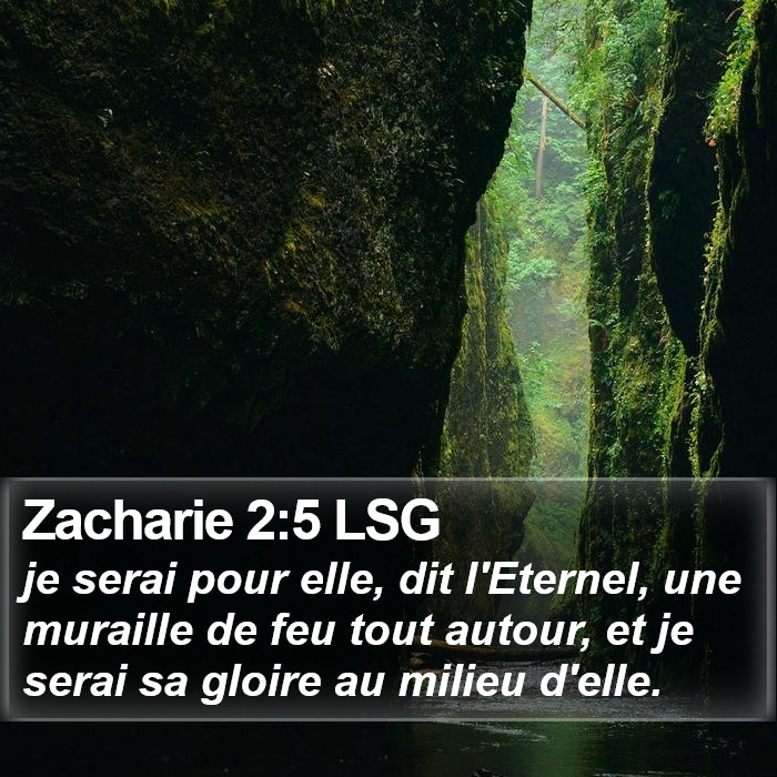 Zacharie 2:5 LSG Bible Study