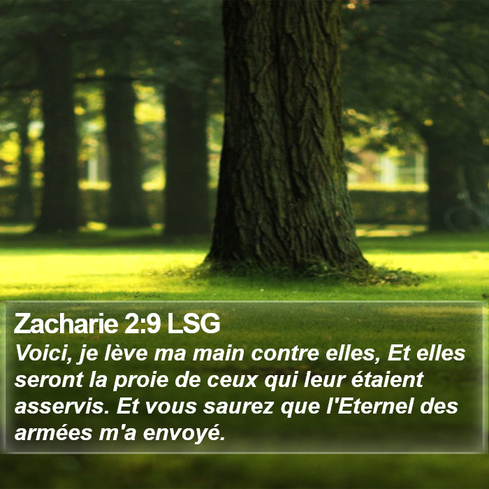 Zacharie 2:9 LSG Bible Study