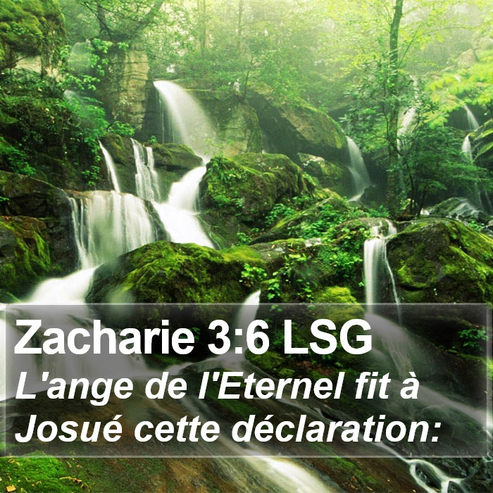 Zacharie 3:6 LSG Bible Study