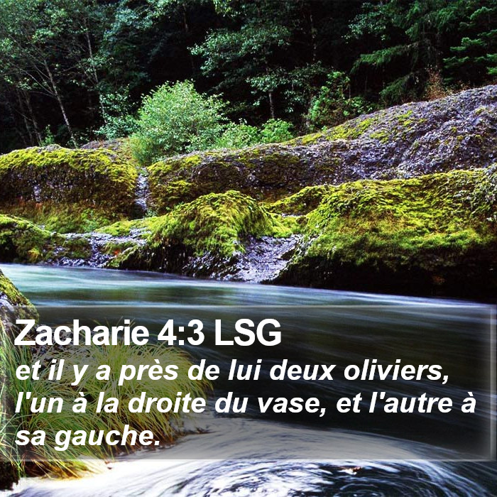Zacharie 4:3 LSG Bible Study