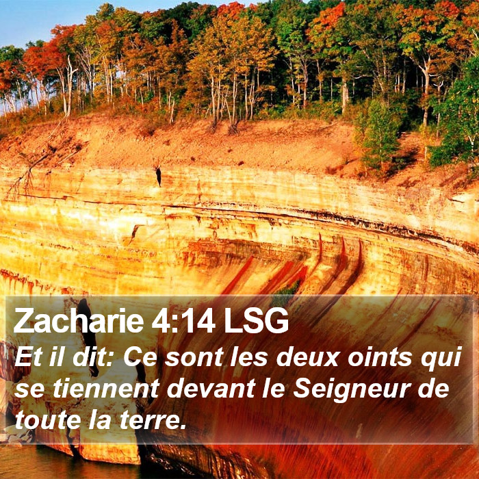 Zacharie 4:14 LSG Bible Study