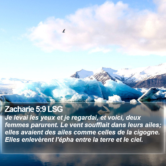 Zacharie 5:9 LSG Bible Study