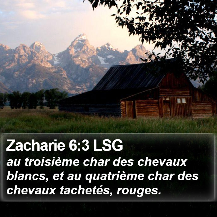 Zacharie 6:3 LSG Bible Study