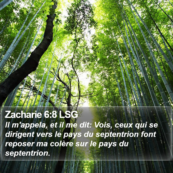 Zacharie 6:8 LSG Bible Study