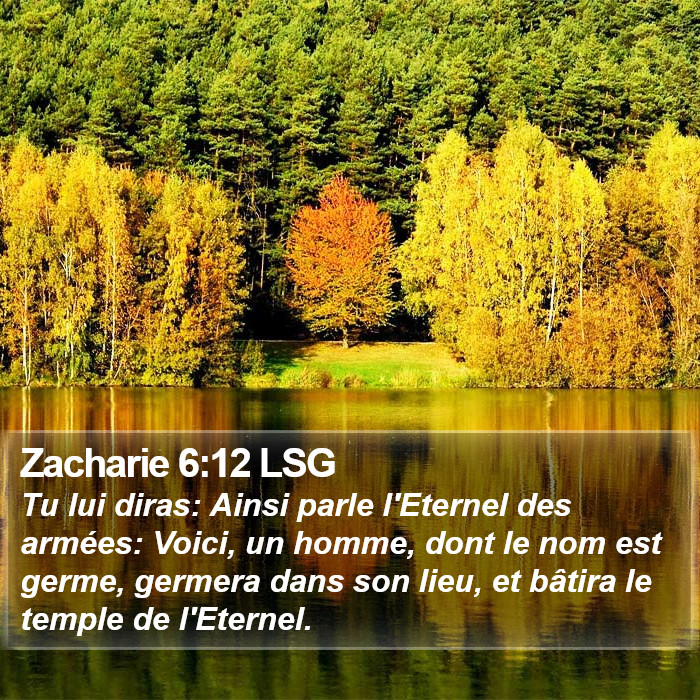 Zacharie 6:12 LSG Bible Study