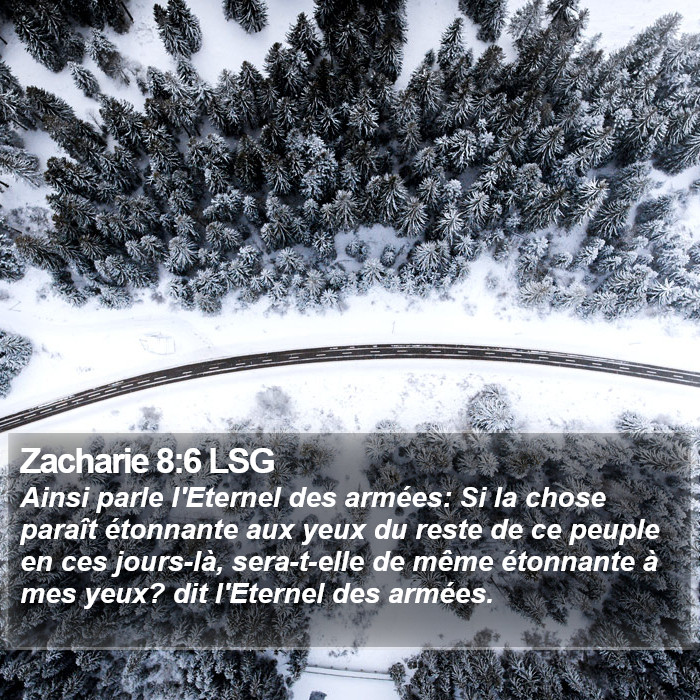 Zacharie 8:6 LSG Bible Study