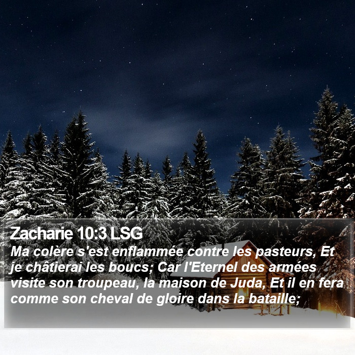 Zacharie 10:3 LSG Bible Study