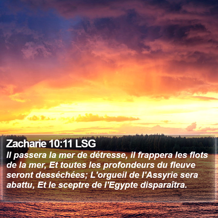 Zacharie 10:11 LSG Bible Study