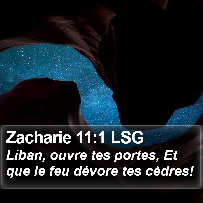 Zacharie 11:1 LSG Bible Study