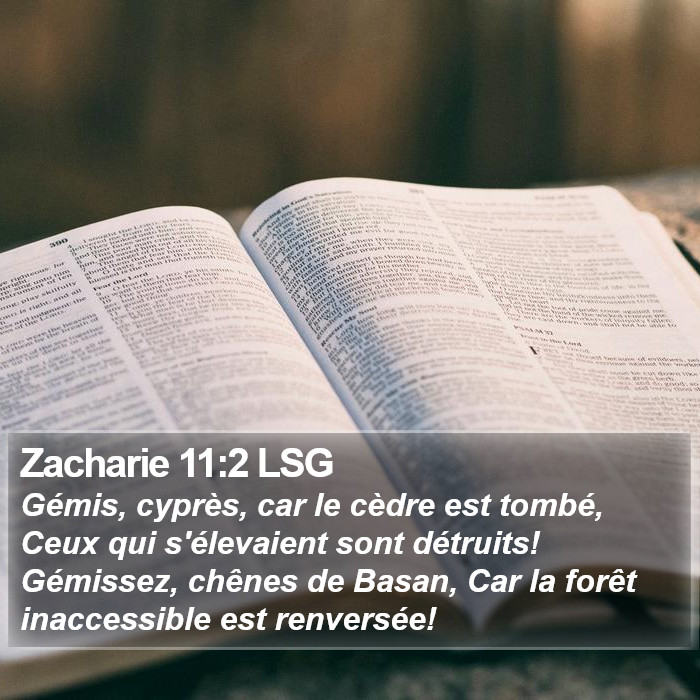 Zacharie 11:2 LSG Bible Study