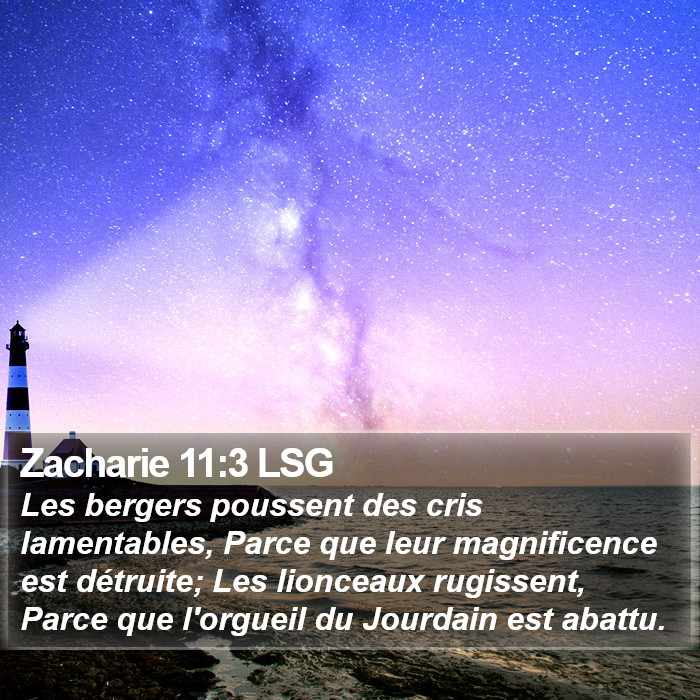 Zacharie 11:3 LSG Bible Study