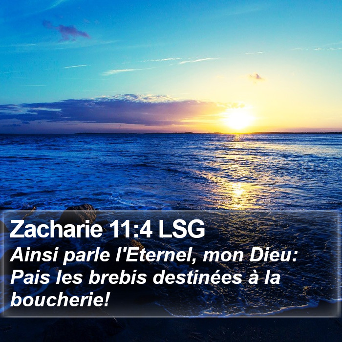 Zacharie 11:4 LSG Bible Study