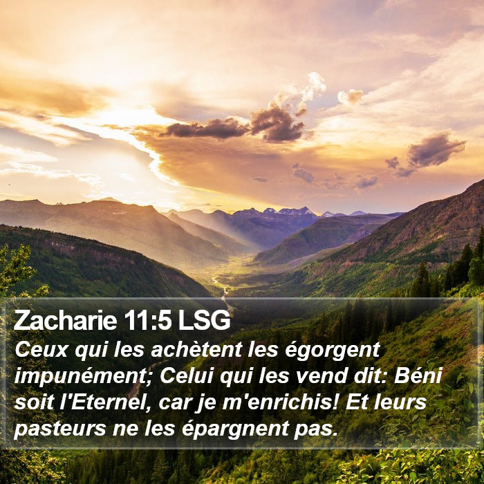 Zacharie 11:5 LSG Bible Study