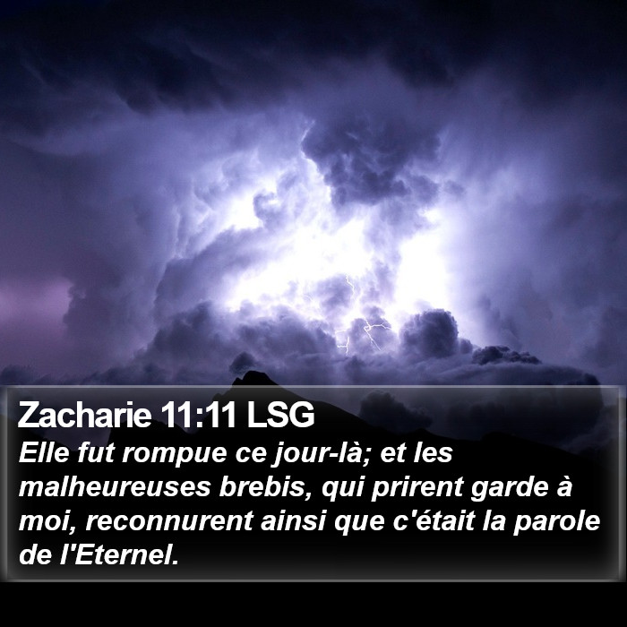 Zacharie 11:11 LSG Bible Study