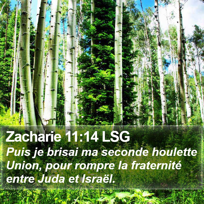 Zacharie 11:14 LSG Bible Study