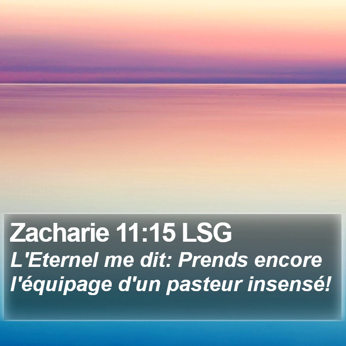 Zacharie 11:15 LSG Bible Study