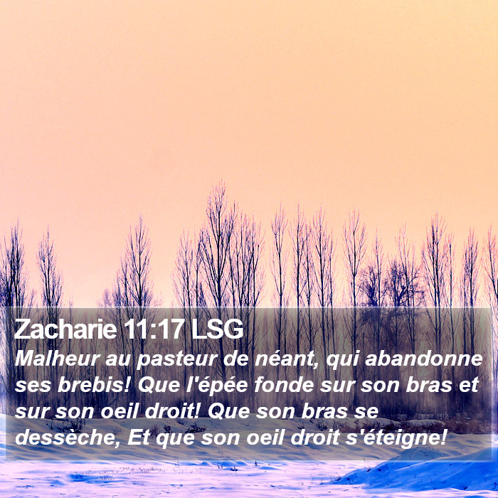 Zacharie 11:17 LSG Bible Study